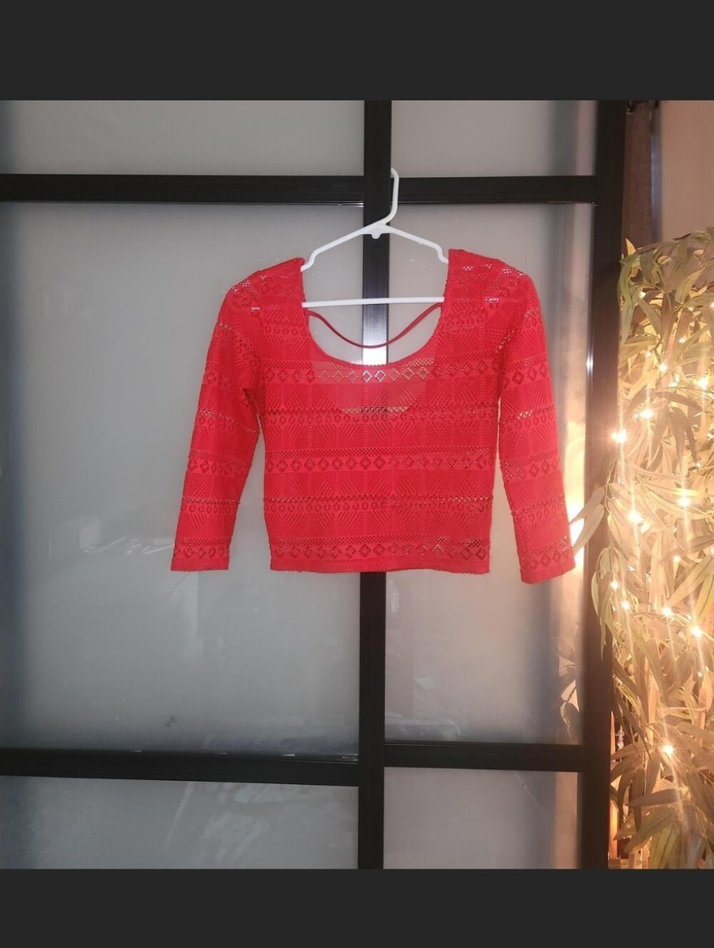 Forever 21 Red Lace Cropped Top
